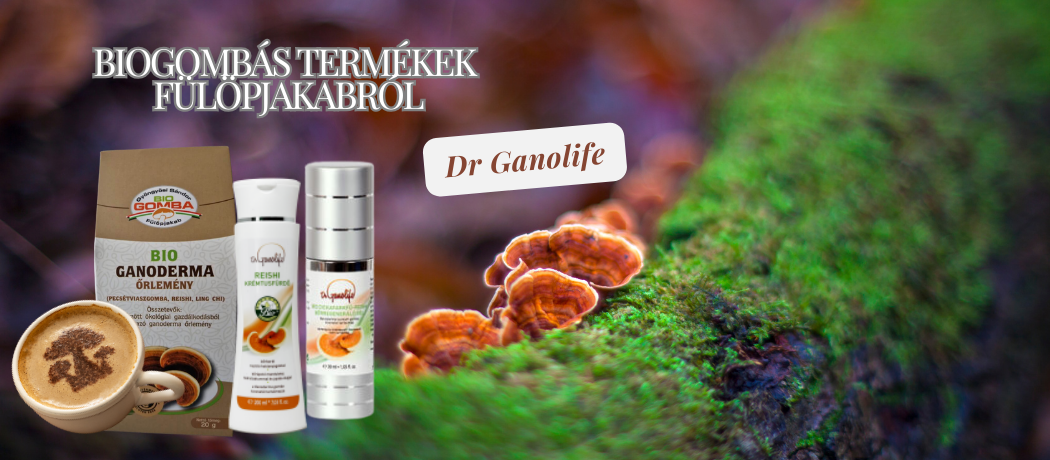 Vitaldepowebaruhaz.hu