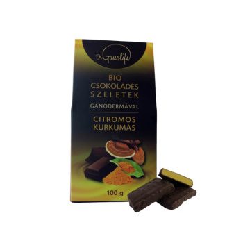 Bio csokoládés szeletek - KURKUMA-CITROM