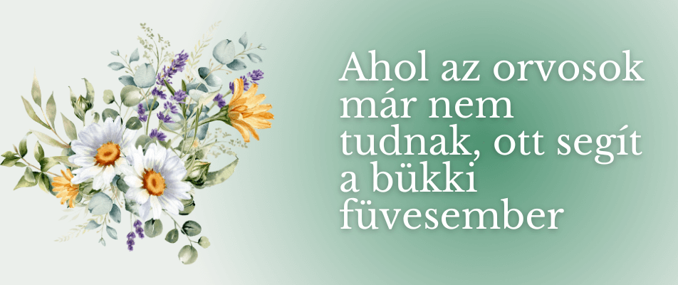 Ahol az orvosok már nem tudnak, ott segít a füvesember