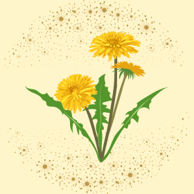 Gabolexin “A természet ereje a daganatok ellen”