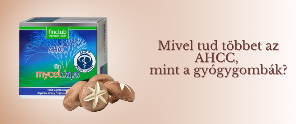Mivel tud többet az AHCC, mint a gyógygombák?