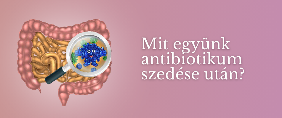 Mit együnk antibiotikum szedése után?
