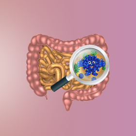Mit együnk antibiotikum szedése után?