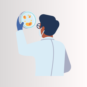 Rendelkeznek-e antimikrobás hatással a gyógygombák?