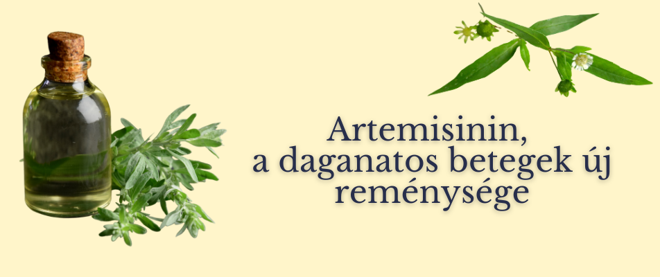 Artemisinin, a daganatos betegek új reménysége