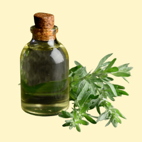 Artemisinin, a daganatos betegek új reménysége