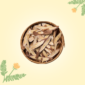 ASTRAGALUS, az életerő forrása