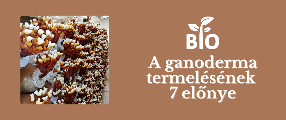 A ganoderma biotermelésének 7 előnye