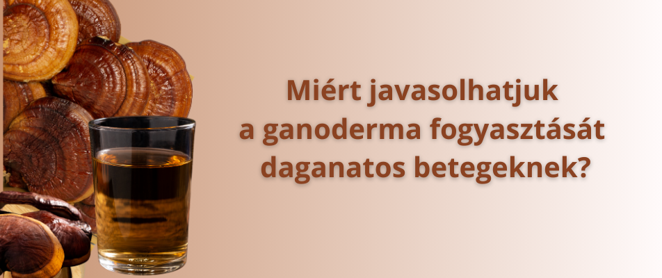 Miért javasolhatjuk a ganoderma fogyasztását daganatos betegeknek?