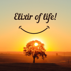 Elixir of Life – az élet esszenciája a mindennapok támogatására