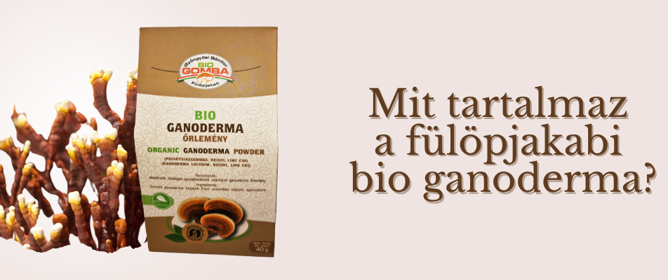 Mit tartalmaz a fülöpjakabi bio ganoderma?