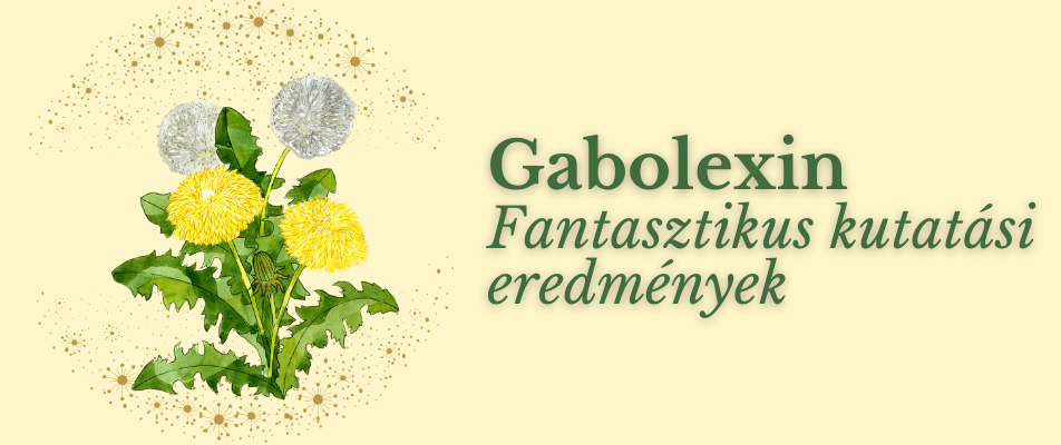 Gabolexin – fantasztikus kutatási eredmények!