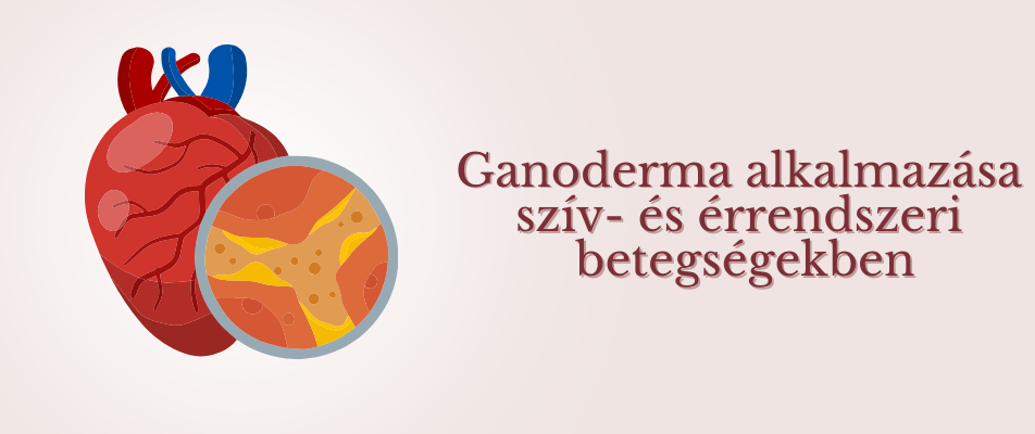 Ganoderma alkalmazása szív- és érrendszeri betegségekben