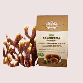 Mit tartalmaz a fülöpjakabi bio ganoderma?