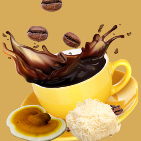 Gombakávé őrület - de vajon melyik a legjobb?