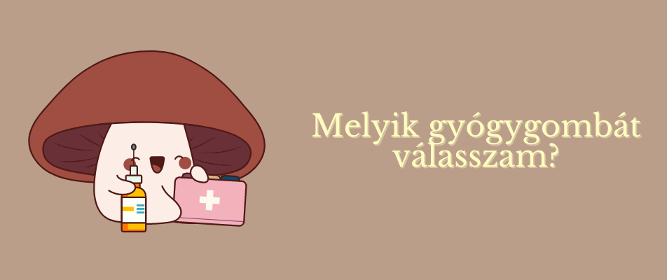Melyik gyógygombát válasszam?