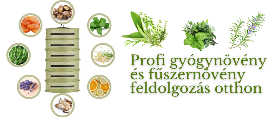 Profi gyógynövény feldolgozás otthon