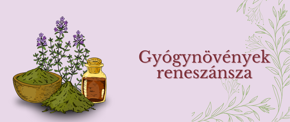 Gyógynövények reneszánsza