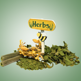 Átadták a HerbaPharm gyógynövényfeldolgozó-üzemet Battonyán