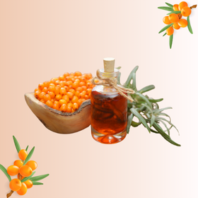 Mi van a homoktövis magolajban?