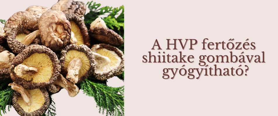 A HVP fertőzés shiitake gombával gyógyítható?