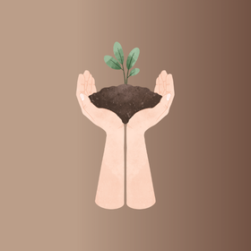 HUMINSAV, a természet csodálatos ajándéka