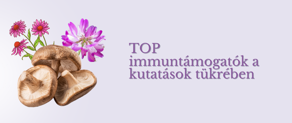 TOP immuntámogatók a kutatások tükrében