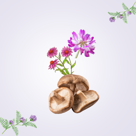 TOP immuntámogatók a kutatások tükrében