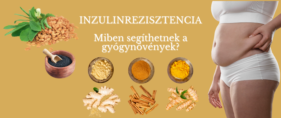Inzulinrezisztencia és a gyógynövények