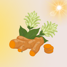 Kurkumával a feledékenység ellen!