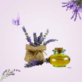 LEVENDULA, mely megnyugvást ad testnek és léleknek