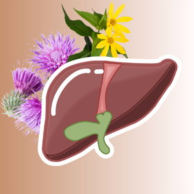 A legjobb májtisztító gyógynövények