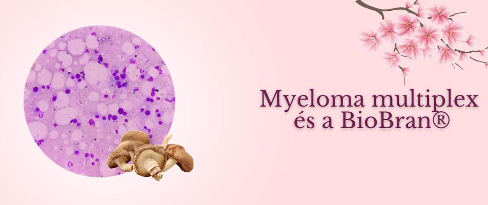 Myeloma Multiplex és a BioBran