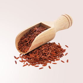 Vörös rizs, a természetes koleszterinszint csökkentő