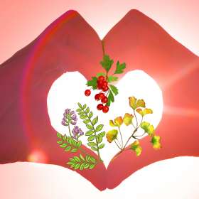 Hogyan előzzük meg a szívinfarktust?