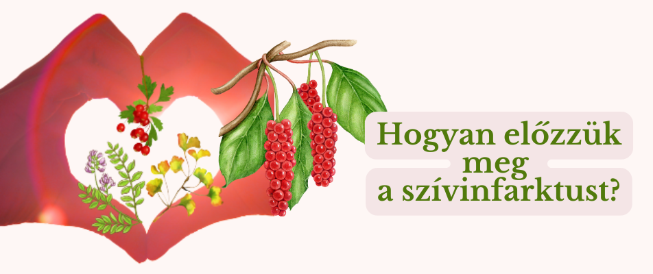 Hogyan előzzük meg a szívinfarktust?