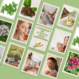 A TERMÉSZET ÍZE: a TEST és LÉLEK harmóniája