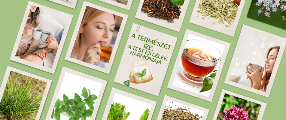 A TERMÉSZET ÍZE: a TEST és LÉLEK harmóniája