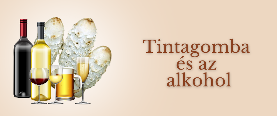 Tintagomba és az alkohol