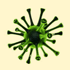 TÜSKEFEHÉRJE KIVEZETÉSE: Természetes módszerek és protokoll